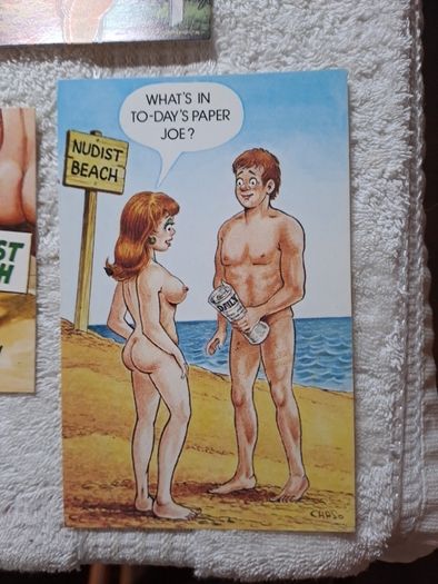 5 Bamforth nudist colony saucy postcards.