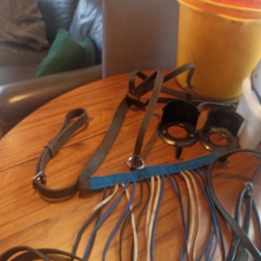 Equestrian Bundle