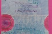 Northern Bank 1999 MILLENNIUM PLASTIC Five Pound note