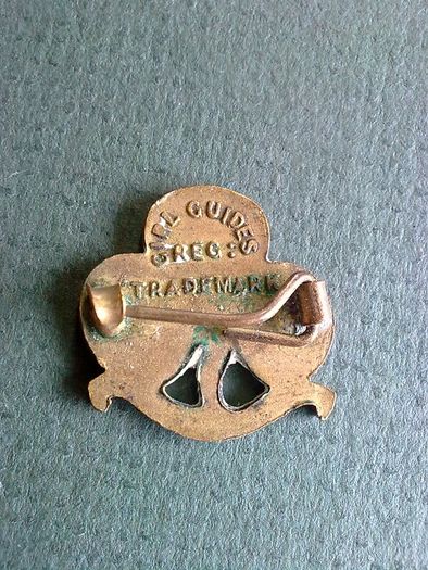 Old Girl Guides badge
