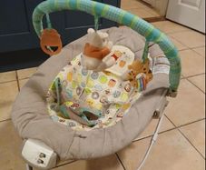 baby bouncer