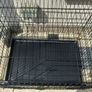 Extra Large dog travel crate Image 6