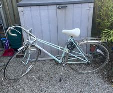 Raleigh Panache