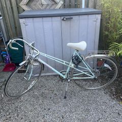 Raleigh Panache