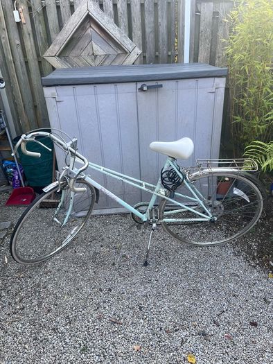 Raleigh Panache
