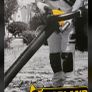 Leaf Blowers Image 7