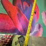 Framed pictures and Canvasses- see all pics Image 4