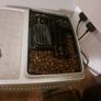 coffe maschin delonghi Image 3