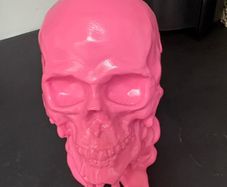 skull decor