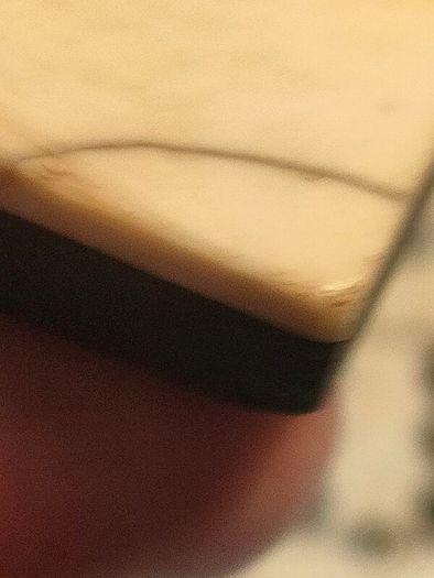 Circa 1900 Bone and Ebonised Domino Set