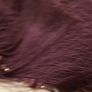 Tiebacks  wine colour Image 5