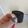 RAF sweetheart broach Image 4