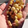Vintage natural horn beads. Image 4