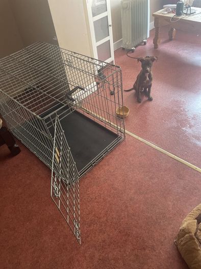 Crate Large