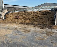 Silage