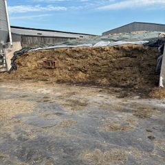 Silage