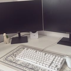 Full White Gaming Setup