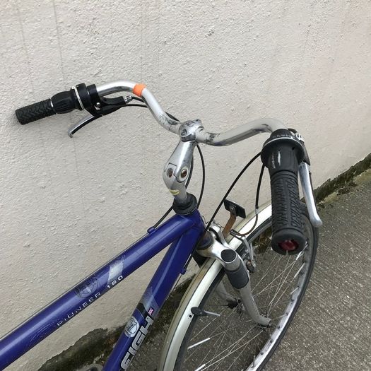 Raleigh Pioneer Bike