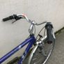 Raleigh Pioneer Bike Image 4