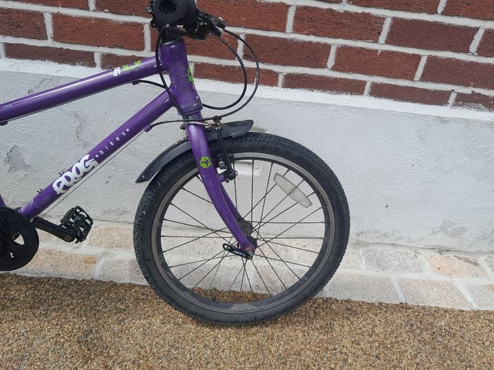 Frog Bike 55