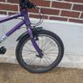 Frog Bike 55 Image 3