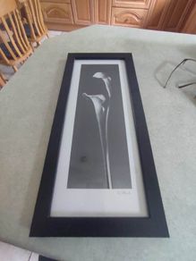 FINE ART SIGNED PRINT OF FRAMED Black & White Photograph by Dick/Diane Stefanich Calla Lily