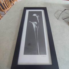 FINE ART SIGNED PRINT OF FRAMED Black & White Photograph by Dick/Diane Stefanich Calla Lily