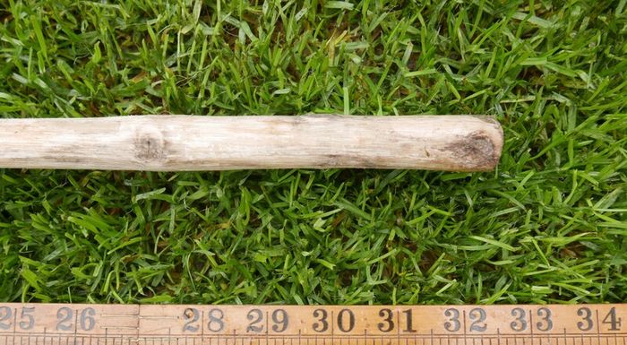 Traditional wooden shillelagh - rustic walking stick