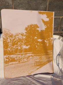 9 large sepia toned Dublin prints