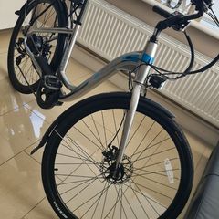 Lectro Avanti Ladies Bike 100% Working and Super Clean