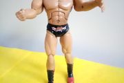 WWE Batista the Animal Action Figure
