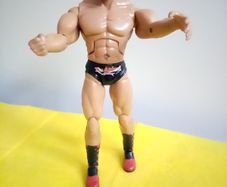 WWE Batista the Animal Action Figure