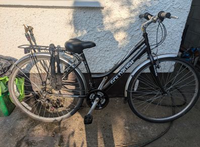 Ladies Bike