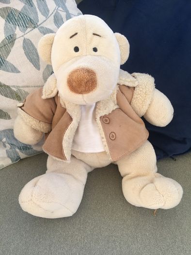 Quality soft toy teddy.