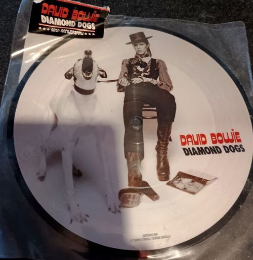 David Bowie Diamond dogs 40th Anniversary