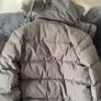 Canada goose Image 5