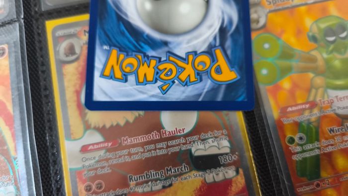 Morpeko ! Promo from Sword & Shield Era ! 2020 ! Pokemon Card !