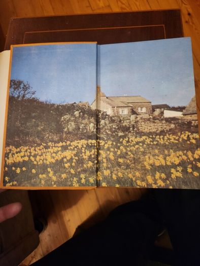 Lama  Derek Taynge. 1966 First Edition Hardback With Dustjacket 37.