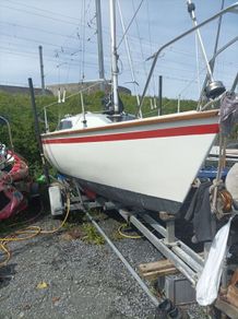 boats