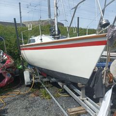 boats