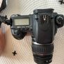 Canon Eos 20d Image 3