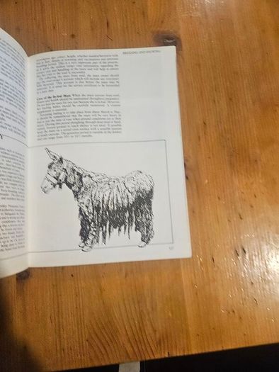 A Passion For Donkeys. By Dr Elizabeth D. Sevendsen. Large Volume Paperback In Good Condition.  See Photos For Same.