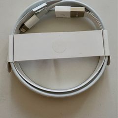 Apple Lightning to USB Cable