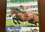 Steeplechasing A Celebration of 250 years by Anne Holland hardback