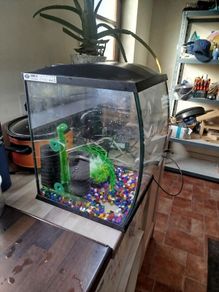 Fish tank