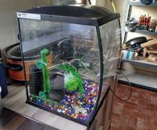 Fish tank