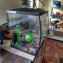 Fish tank