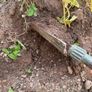 top soil -FREE Image 3