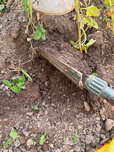 top soil -FREE