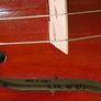 violin full size Image 3